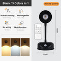 Motion Sensor Wall Sconce