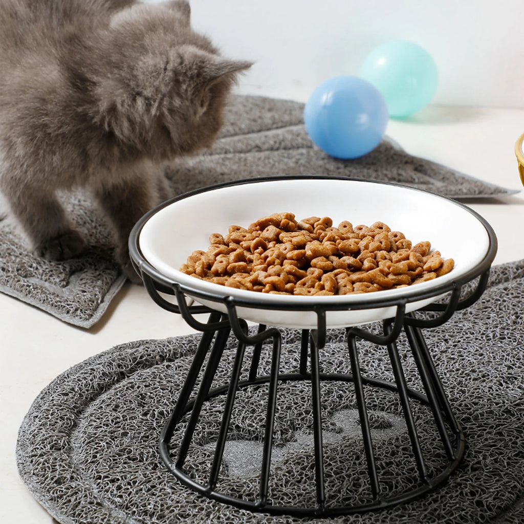 Ceramic Nordic Raised Pet Bowl