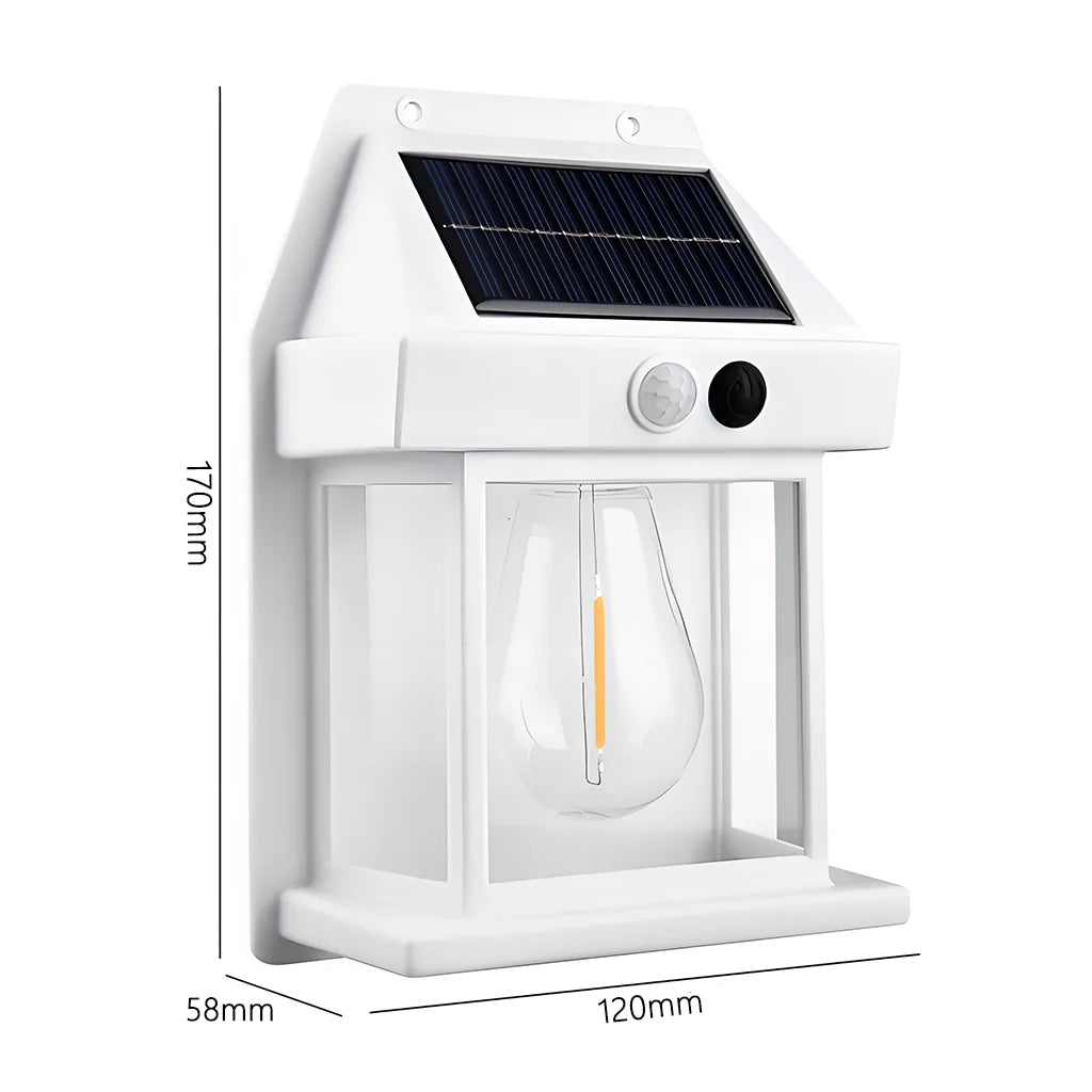 Sensor Solar Garden Light