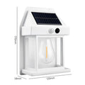 Sensor Solar Garden Light