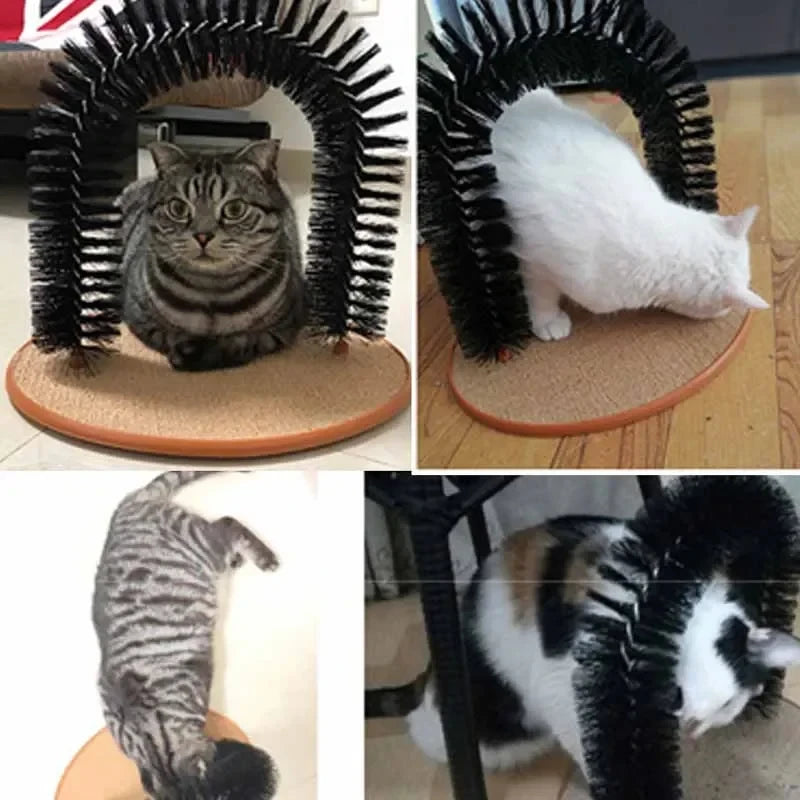 Feline Cat Grooming Arch